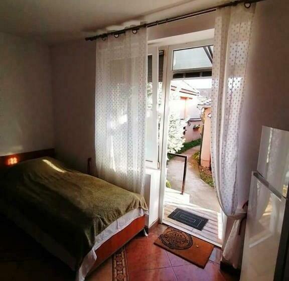 ペンション Hostel Pascalis Alesd