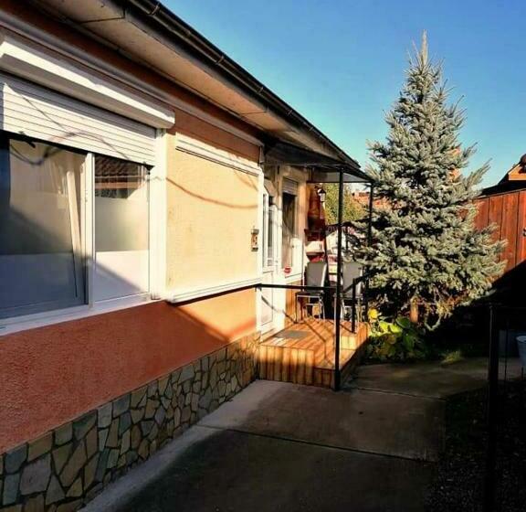 ペンション Hostel Pascalis Alesd