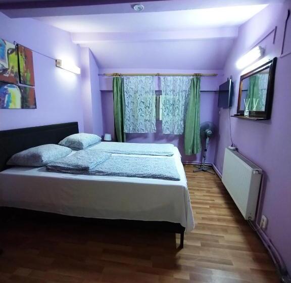 ペンション Hostel Pascalis Alesd