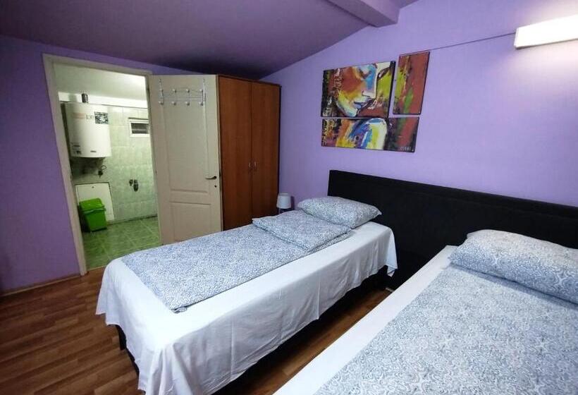 ペンション Hostel Pascalis Alesd