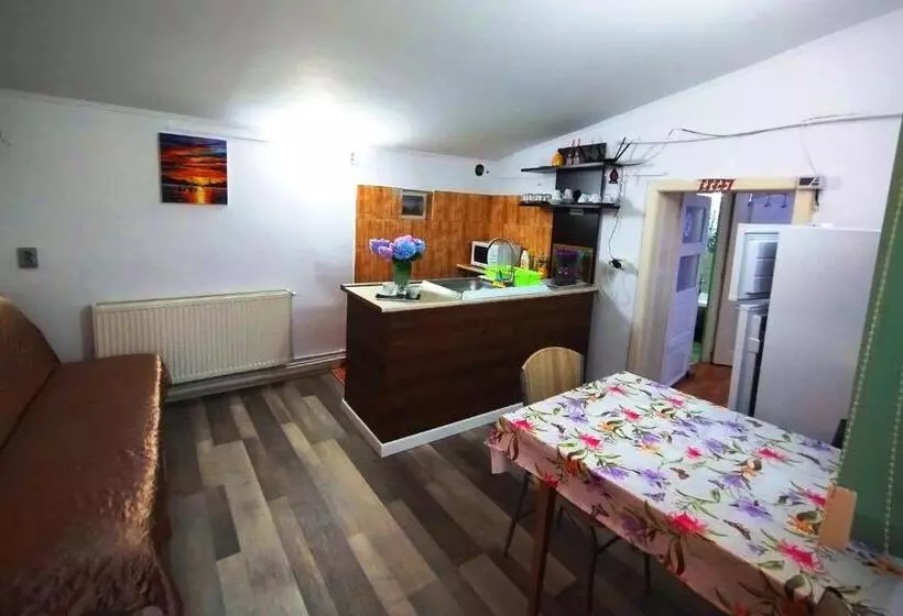 Majatalo Hostel Pascalis Alesd