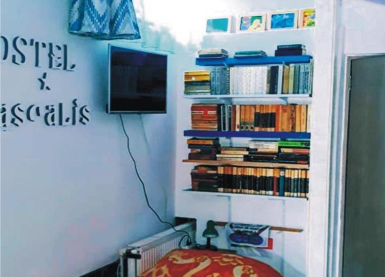 ペンション Hostel Pascalis Alesd