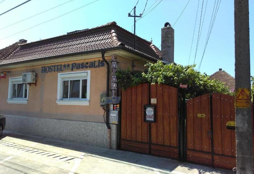 ペンション Hostel Pascalis Alesd