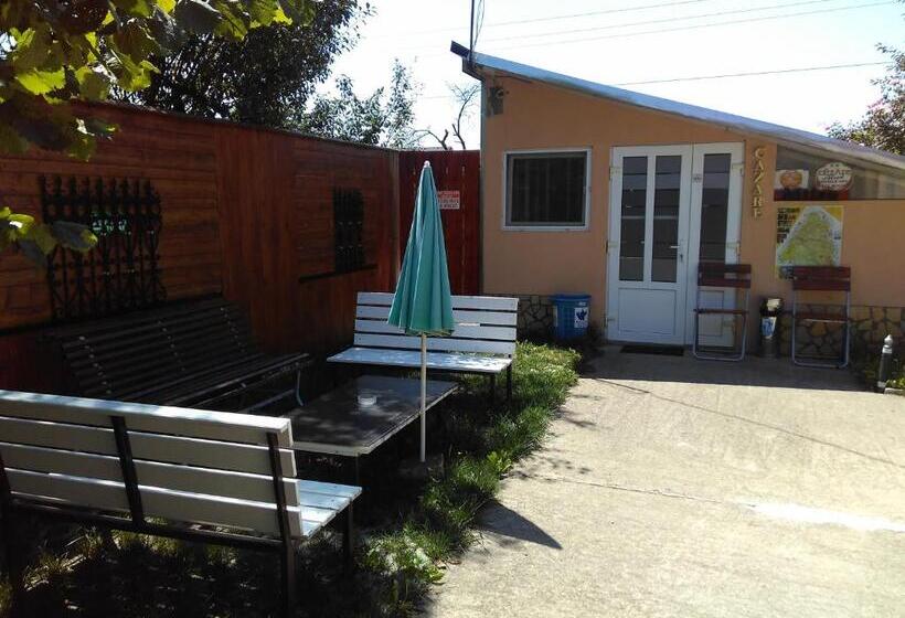 ペンション Hostel Pascalis Alesd