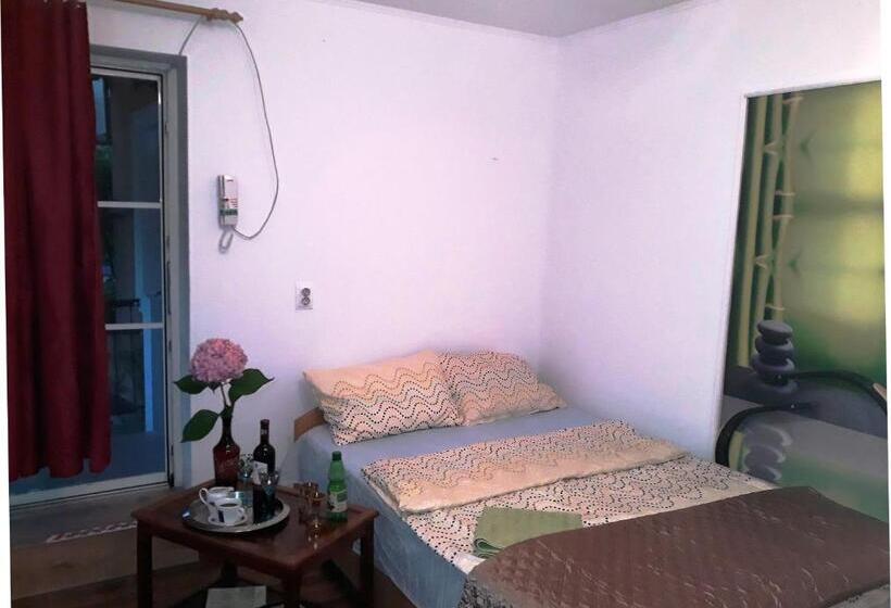 ペンション Hostel Pascalis Alesd