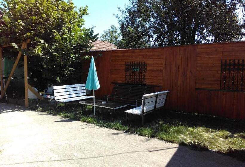 ペンション Hostel Pascalis Alesd