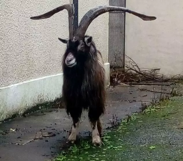 Majatalo Mary S Of Mulranny