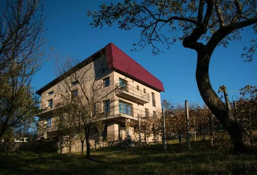 Pensió Panoramic