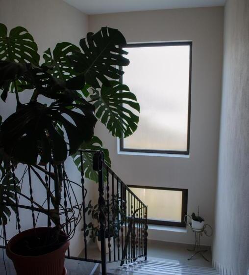 بنسيون Panoramic