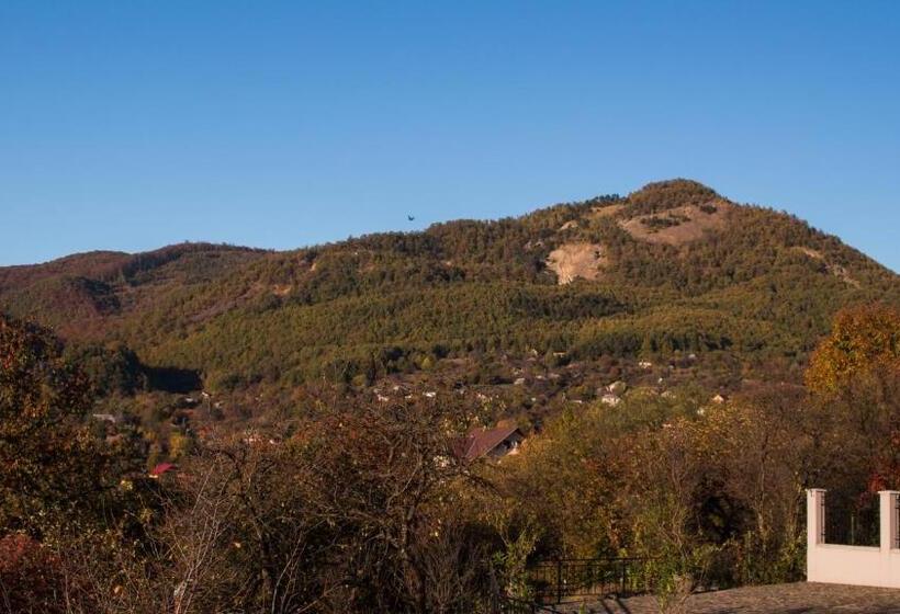 بنسيون Panoramic