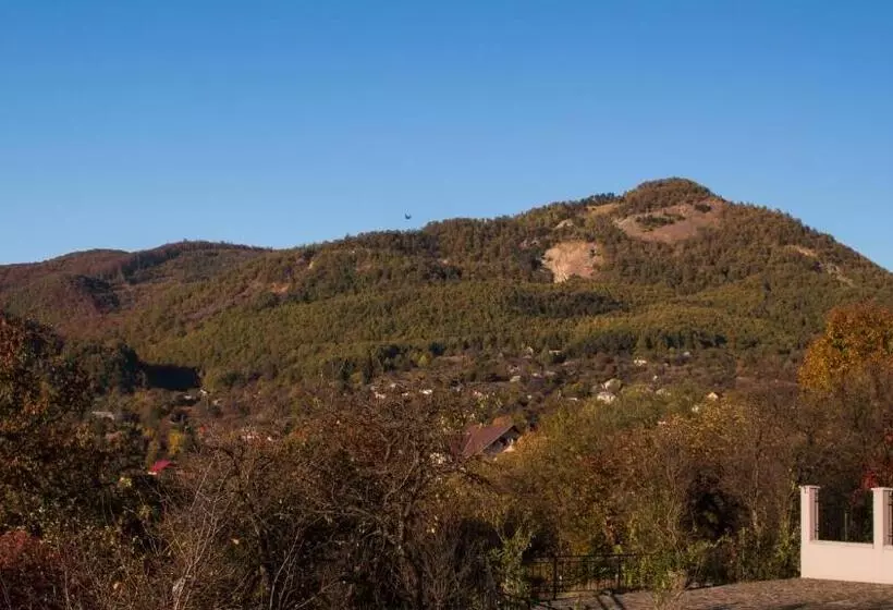 Pensió Panoramic