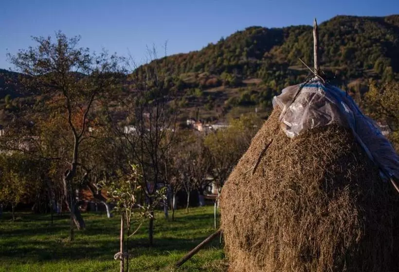 Pensió Panoramic