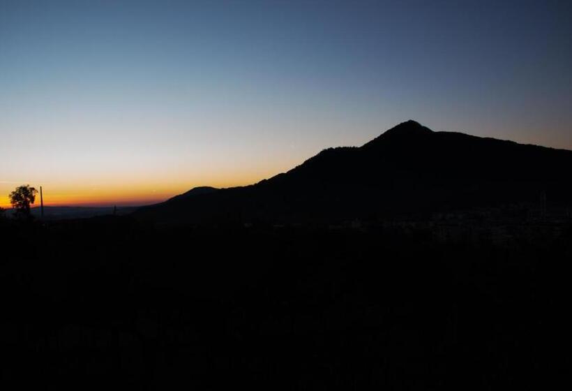 بنسيون Panoramic