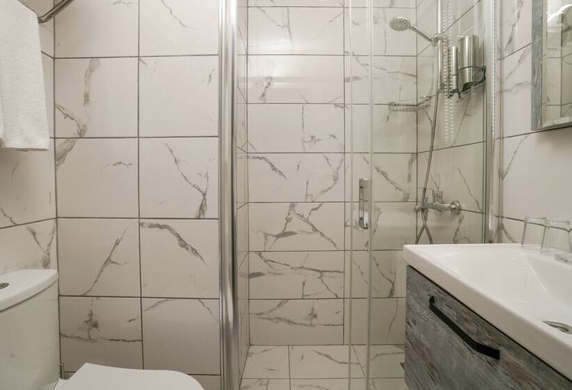 Faros Hotel Taksim Special Category