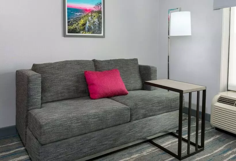 호텔 Hampton Inn & Suites Winston Salem/university Area, Nc