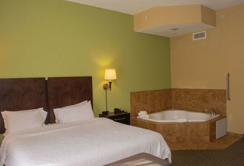 בית מלון כפרי Hampton Inn Dandridge