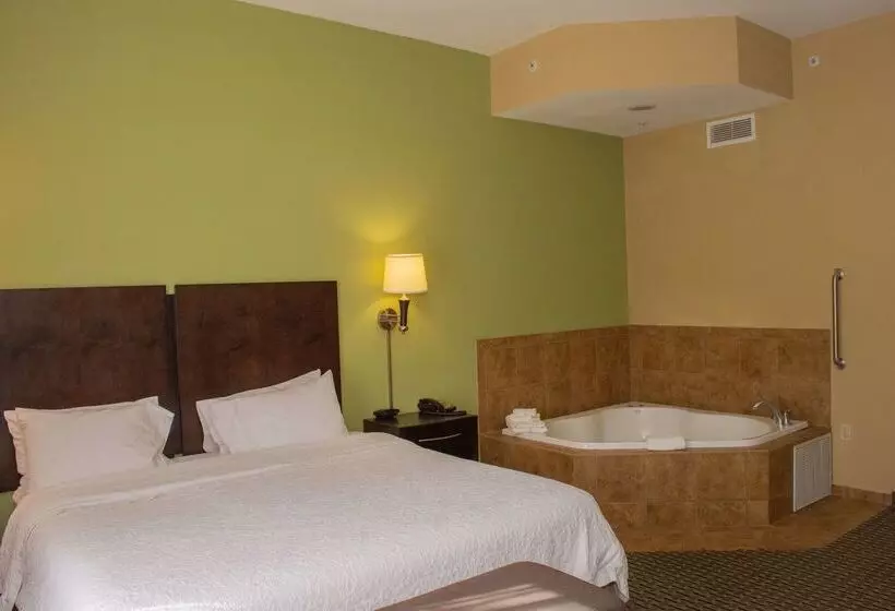 ホテル Hampton Inn Dandridge