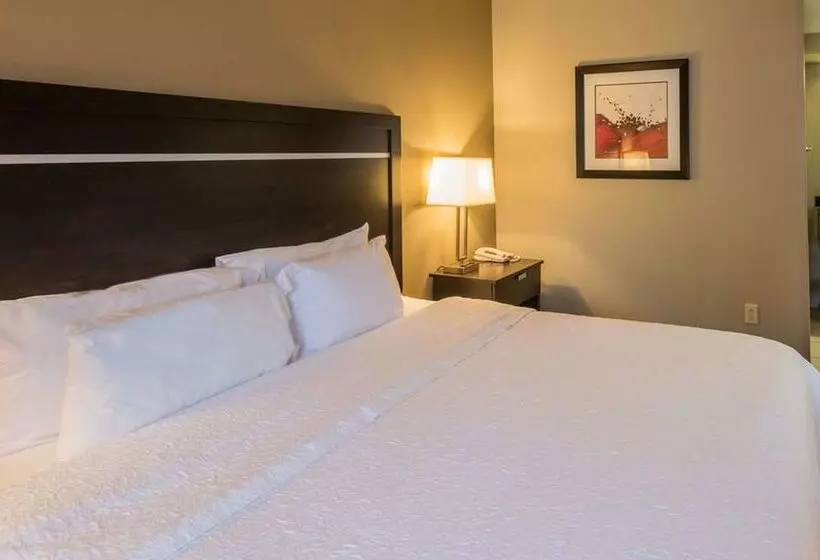 ホテル Hampton Inn New Albany