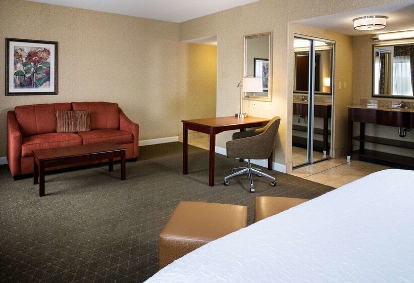 فندق Hampton Inn & Suites Toledoperrysburg