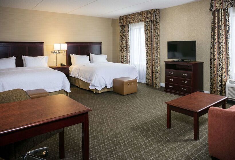 فندق Hampton Inn & Suites Toledoperrysburg