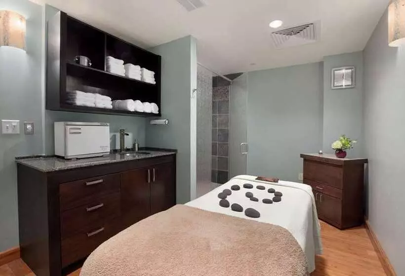 Отель Hilton Asheville Biltmore Park