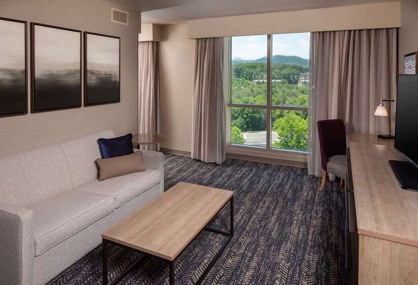 בית מלון כפרי Hilton Asheville Biltmore Park
