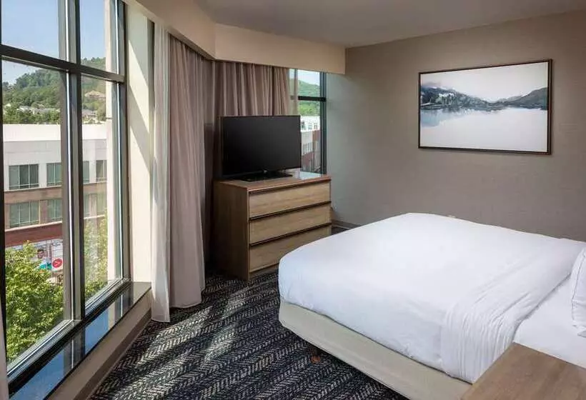 Отель Hilton Asheville Biltmore Park