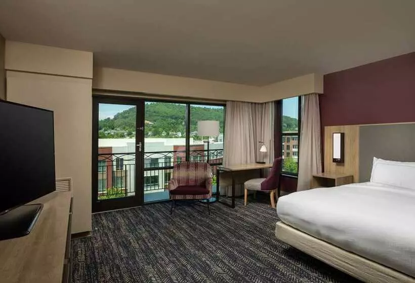 Отель Hilton Asheville Biltmore Park