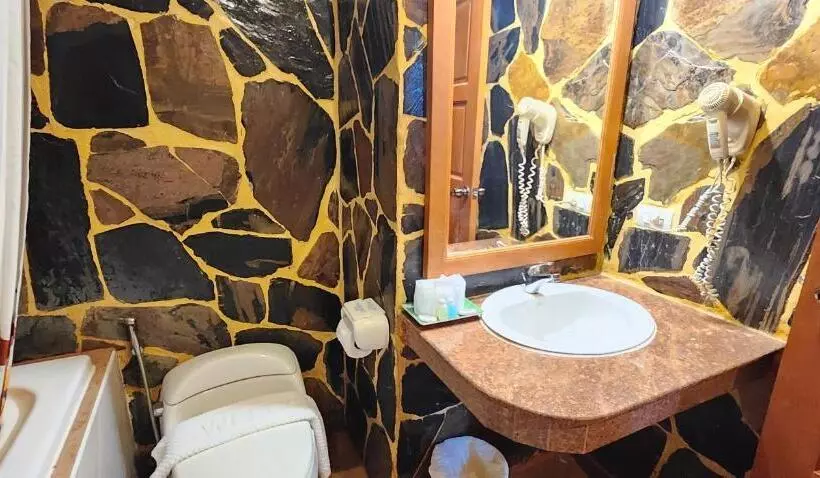 酒店 Tiger Complex