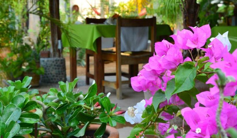 בית מלון כפרי Villa Mozart Y Macondo