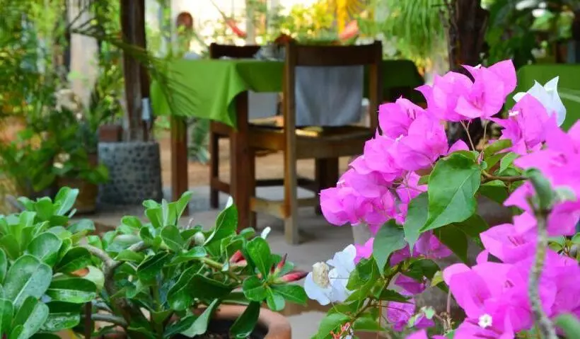 בית מלון כפרי Villa Mozart Y Macondo