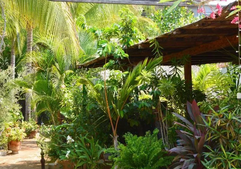 בית מלון כפרי Villa Mozart Y Macondo