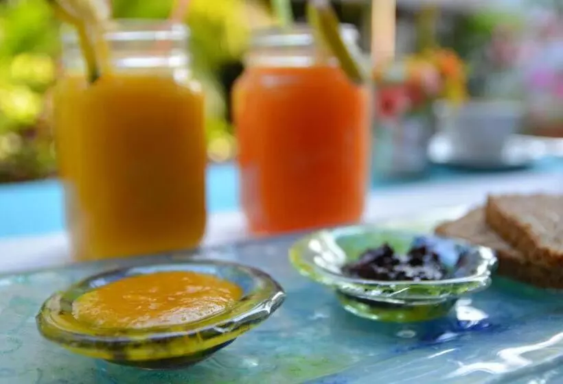 בית מלון כפרי Villa Mozart Y Macondo