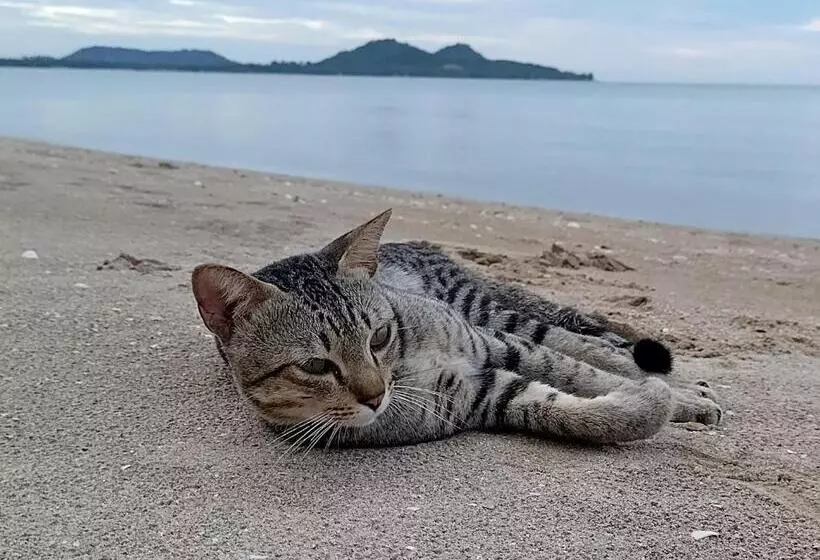 ホテル Ban Tawansongfa