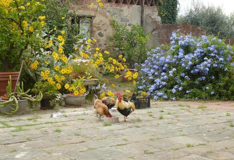 تختخواب و صبحانه Casa Marcè A Sonno