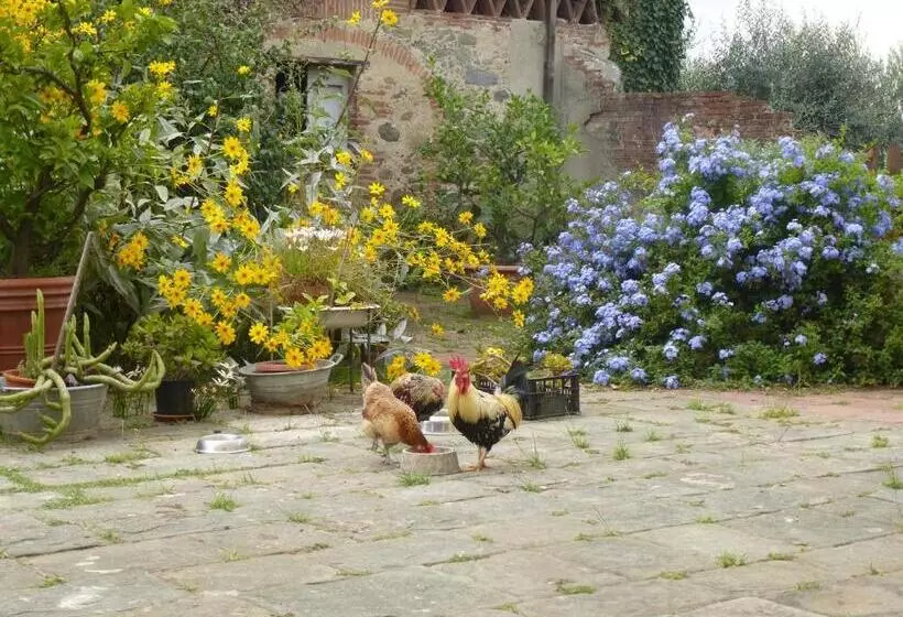 ベッドアンドブレックファースト Casa Marcè A Sonno