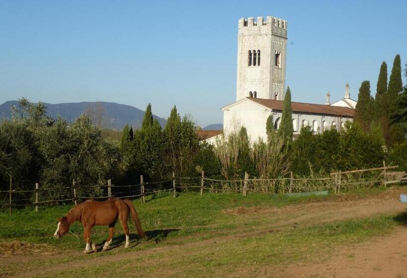 تختخواب و صبحانه Casa Marcè A Sonno