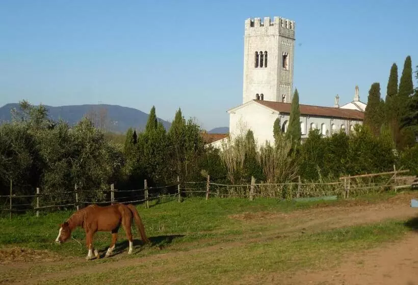 ベッドアンドブレックファースト Casa Marcè A Sonno