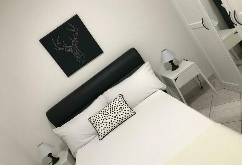 بنسيون Basilica San Gavino