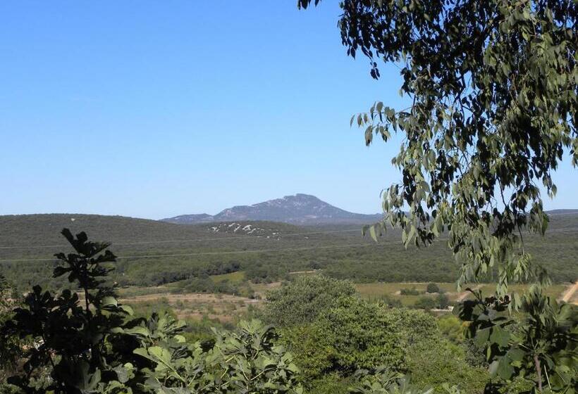 פנסיון Xvi Century Mansion