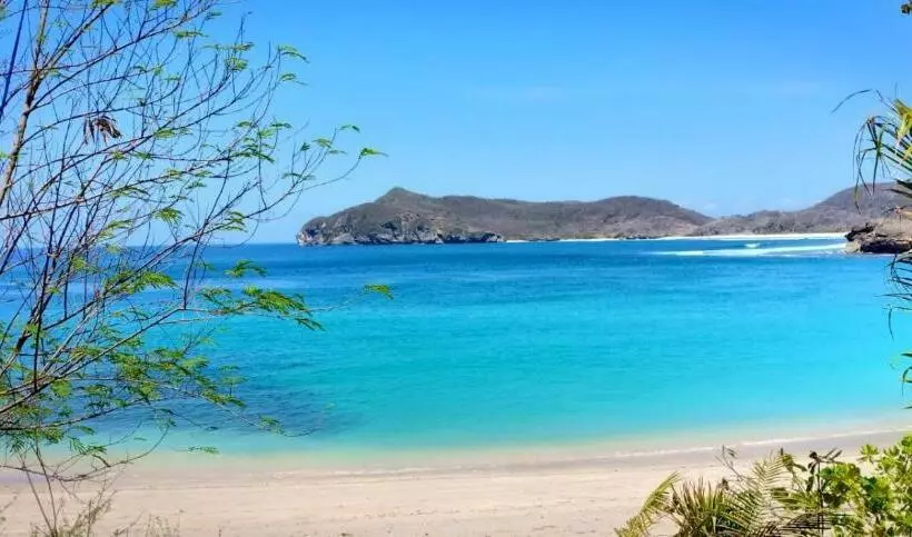 ユースホステル Castaway Surf Retreat 1