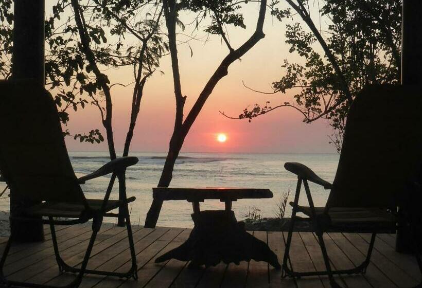 旅馆 Castaway Surf Retreat 1