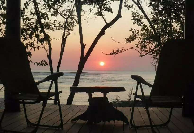 ユースホステル Castaway Surf Retreat 1