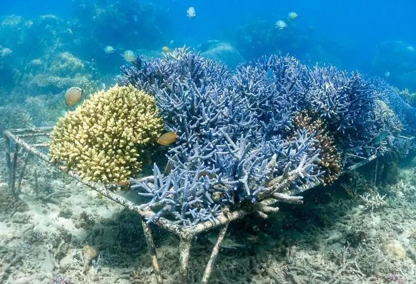 ホテル Alam Karang