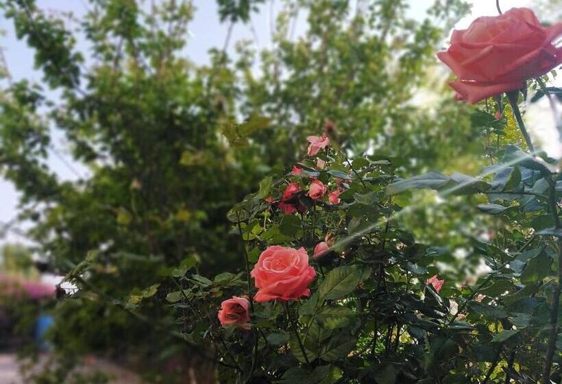 פנסיון Reda Land