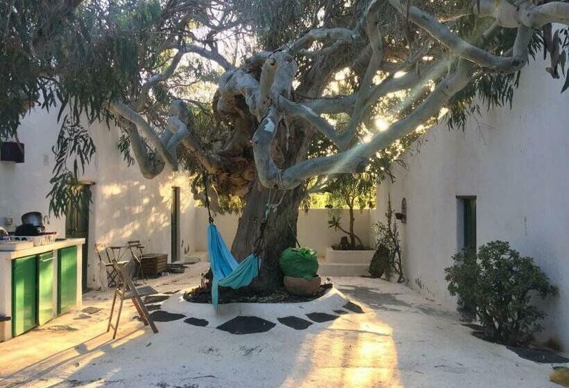 مبيت وإفطار Patio Ii Studio At Finca