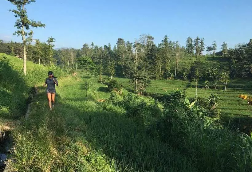 Отель Finna Golf & Country Club