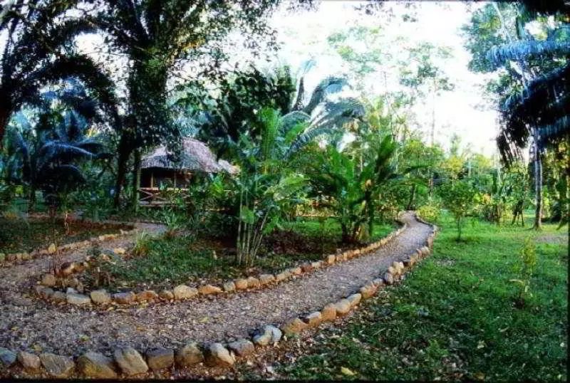 Hotel Ian Anderson Caves Branch Jungle Lodge