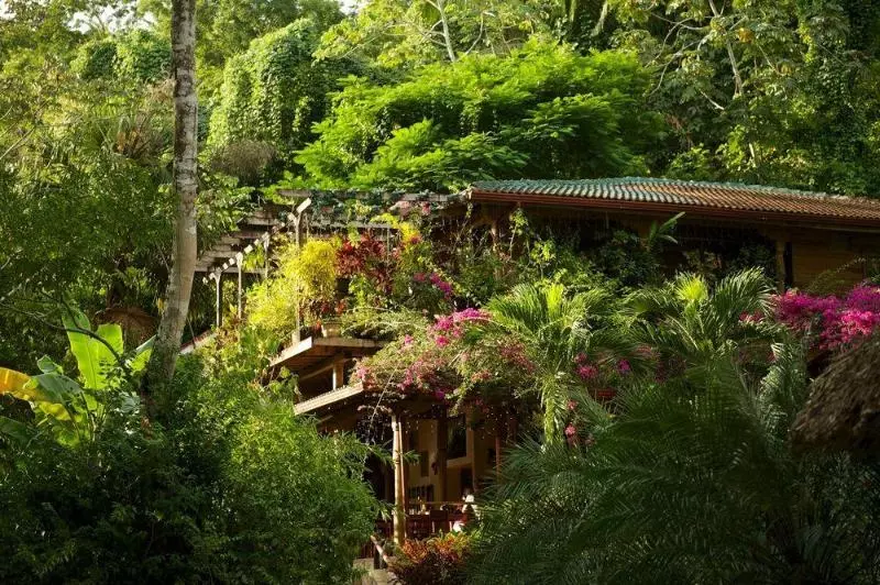 Hotel Ian Anderson Caves Branch Jungle Lodge