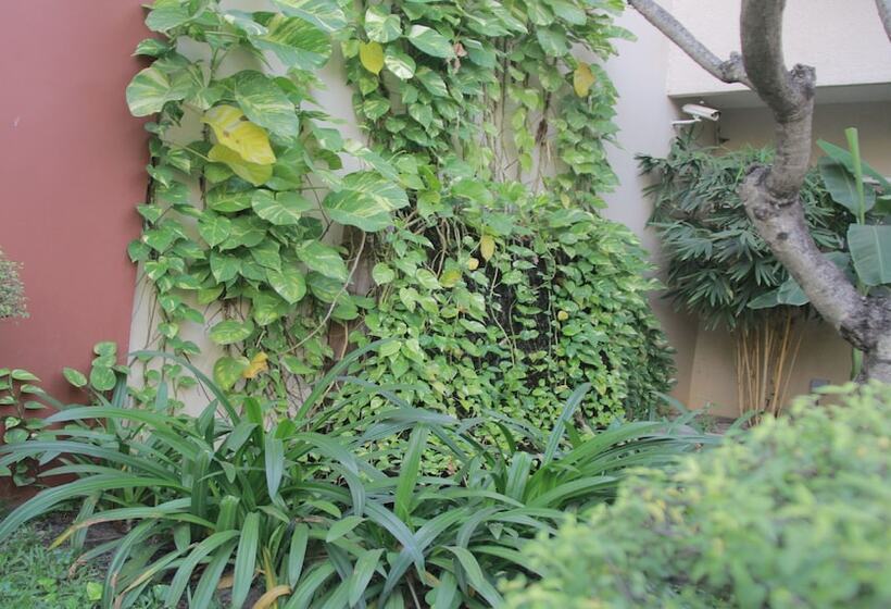 فندق Starry Angkor